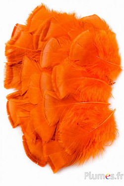 Bronzen kalkoen - gebleekt - 5-15 cm - oranje-karamel